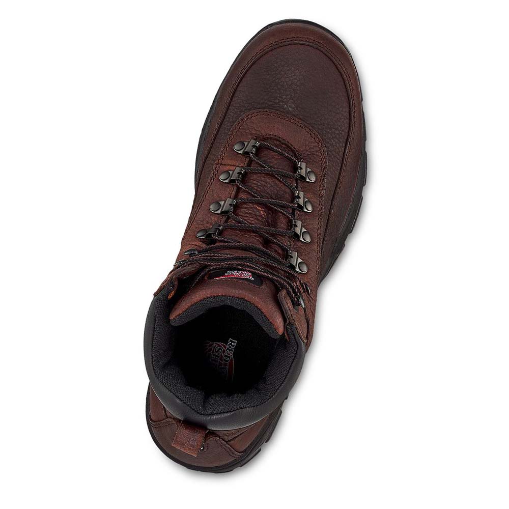 Red Wing 6-inch Vandtætte CSA Soft Tå Vandrestøvler Herre Kaffe | DK253ZUT