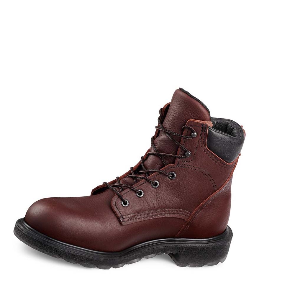Red Wing SuperSole® 2.0 6-inch Sikkerhedsstøvler Herre Bordeaux | DK285FDN