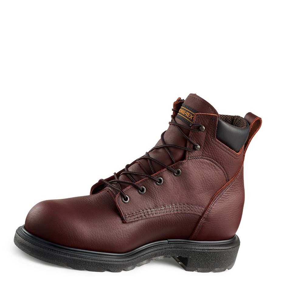 Red Wing SuperSole® 2.0 6-inch Soft Tå Vandtætte Støvler Herre Bordeaux | DK365SGL