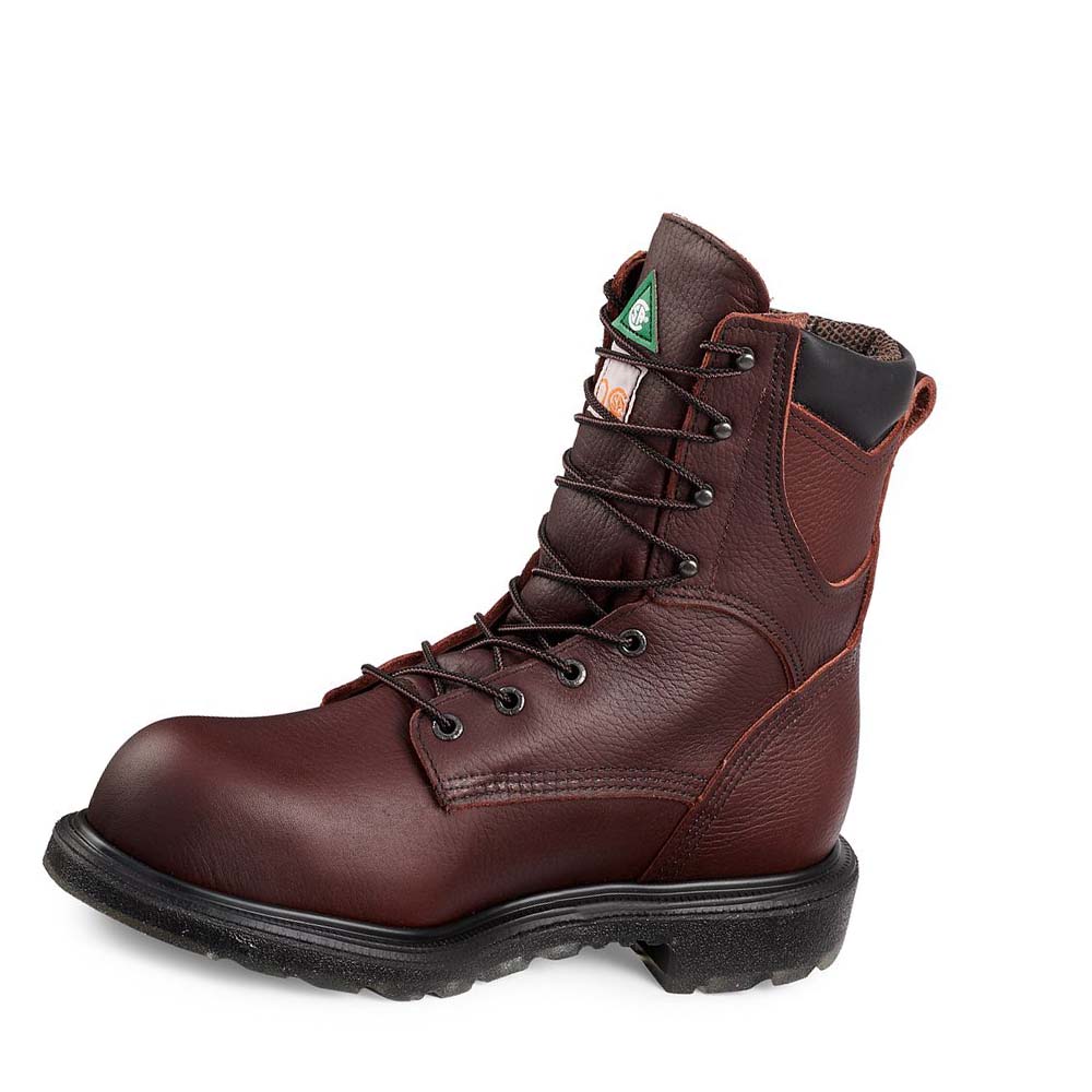 Red Wing SuperSole® 2.0 8-inch Insulated, CSA Sikkerheds Tå Vandtætte Støvler Herre Bordeaux | DK364DFM