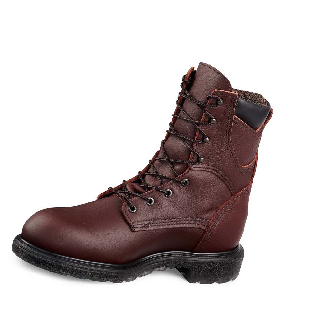 Red Wing SuperSole® 2.0 8-inch Insulated, Vandtætte Soft Tå Arbejdsstøvler Herre Bordeaux | DK6UZG