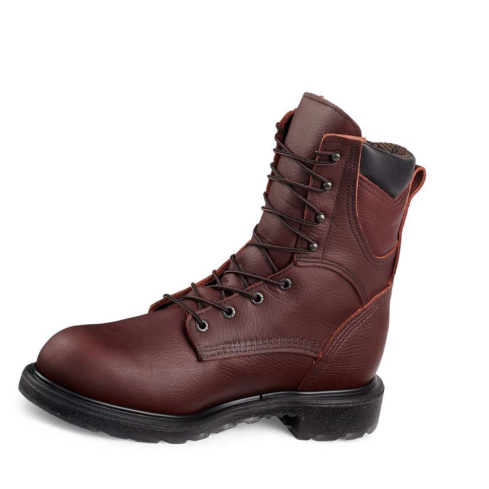 Red Wing SuperSole® 2.0 8-inch Vandtætte Soft Tå Arbejdsstøvler Herre Kaffe | DK67BEX