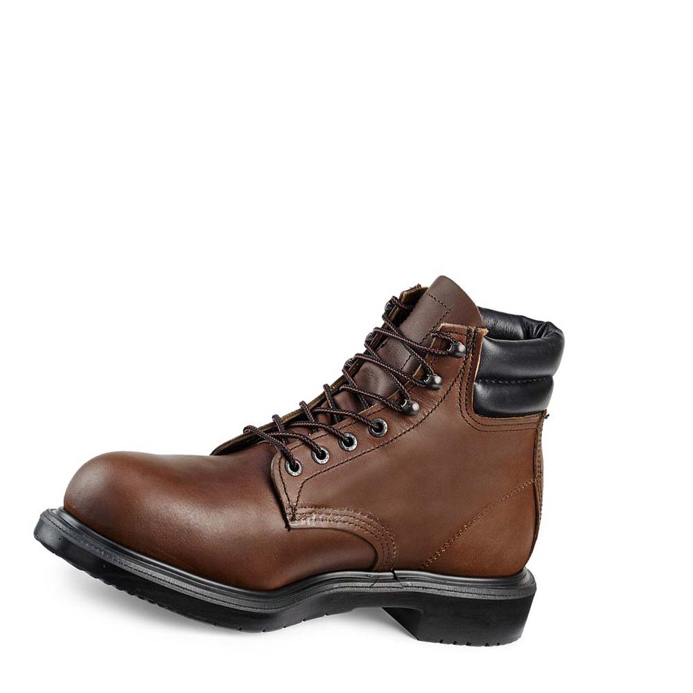 Red Wing SuperSole® 6-inch Sikkerhedsstøvler Herre Kaffe | DK301BEX