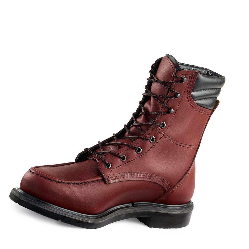 Red Wing SuperSole® 8-inch CSA Soft Tå Arbejdsstøvler Herre Bordeaux | DK84UZG