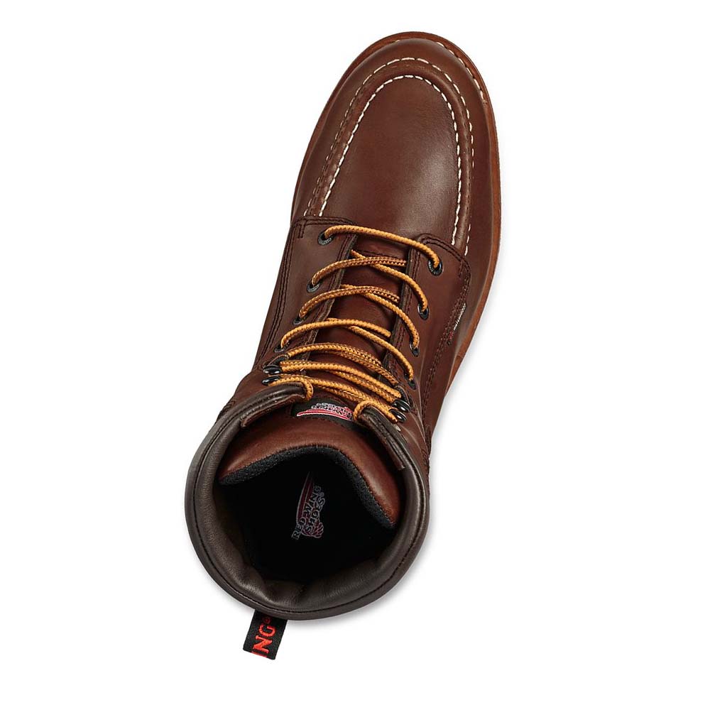 Red Wing Traction Tred 8-inch Vandtætte Soft Tå Arbejdsstøvler Herre Kaffe | DK77FDN