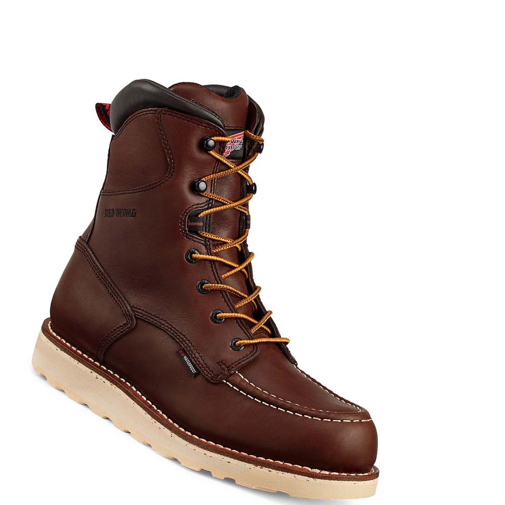 Red Wing Traction Tred 8-inch Vandtætte Soft Tå Arbejdsstøvler Herre Kaffe | DK77FDN