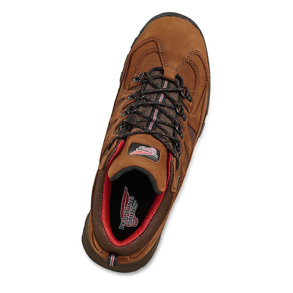 Red Wing TruHiker 3-inch Sikkerheds Tå Vandrestøvler Herre Brune | DK264OKI